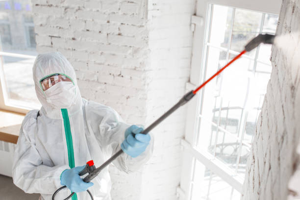 Best Industrial Mold Remediation  in Azalea Park, FL