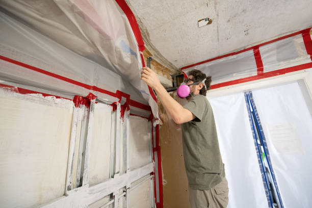 Best Attic Mold Removal  in Azalea Park, FL