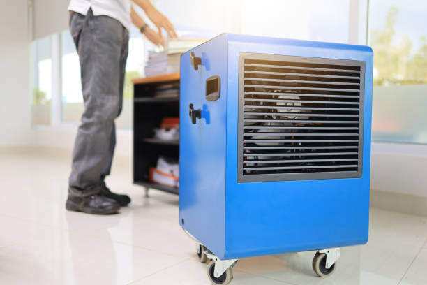 Best Mold Remediation for Healthcare Facilities  in Azalea Park, FL