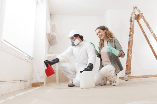  Azalea Park, FL Mold Removal Pros